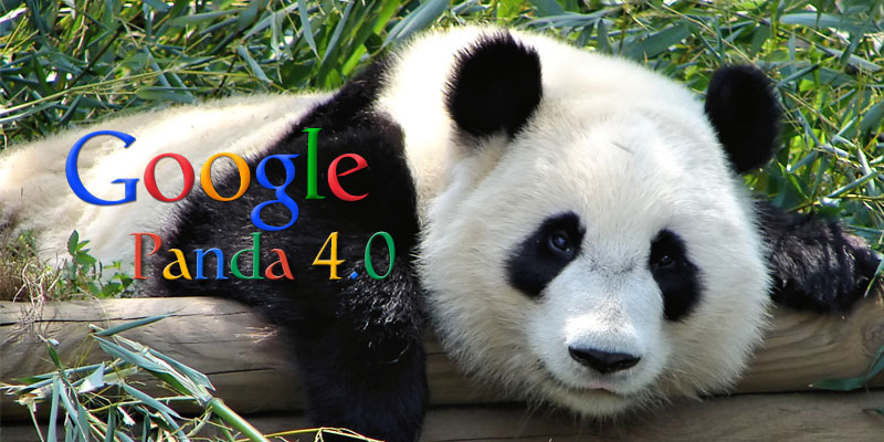 Google’s Panda 4.0 and What It Means for Small Business Owners